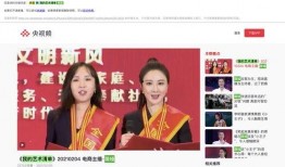 央视爆料薇娅视频大全集,视频大全集背后的真相与影响力