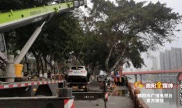 四川女司机爆料视频在线,揭秘背后惊人真相