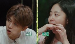 娱乐吃瓜爆料直播真假视频,娱乐吃瓜爆料，真假视频背后的真相大起底