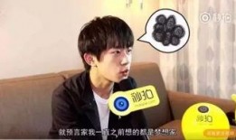 千玺采访爆料视频大全,揭秘成长历程与未来展望